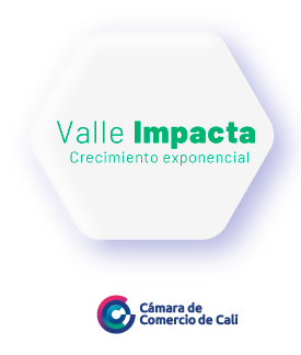 valle-impacta